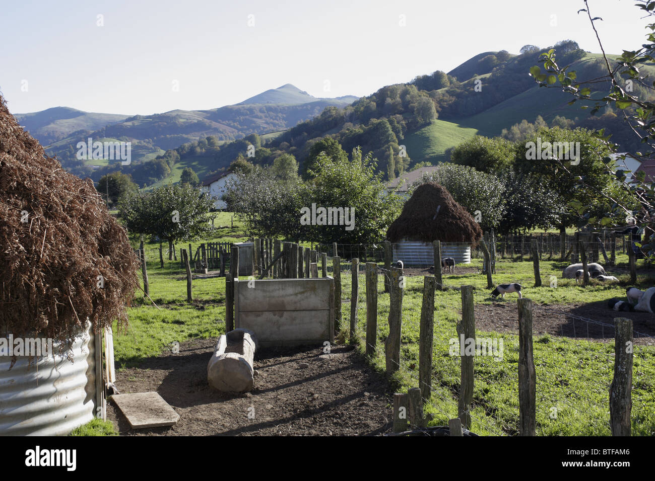 Pigsties sulla valle Kintoa, Pays Basque, Francia Foto Stock