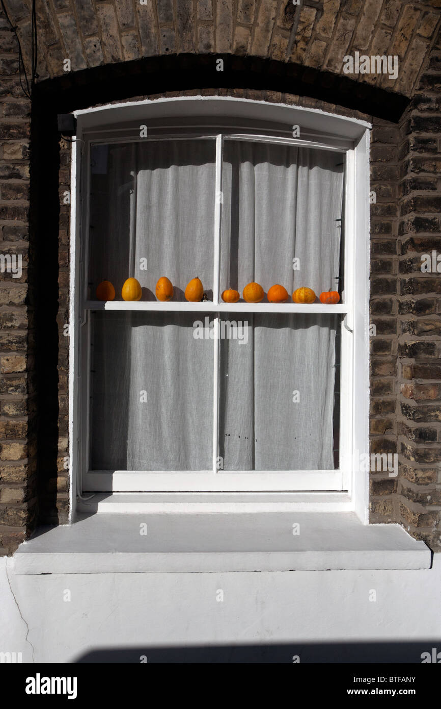 Gamma di pumkins in una finestra di Londra Foto Stock