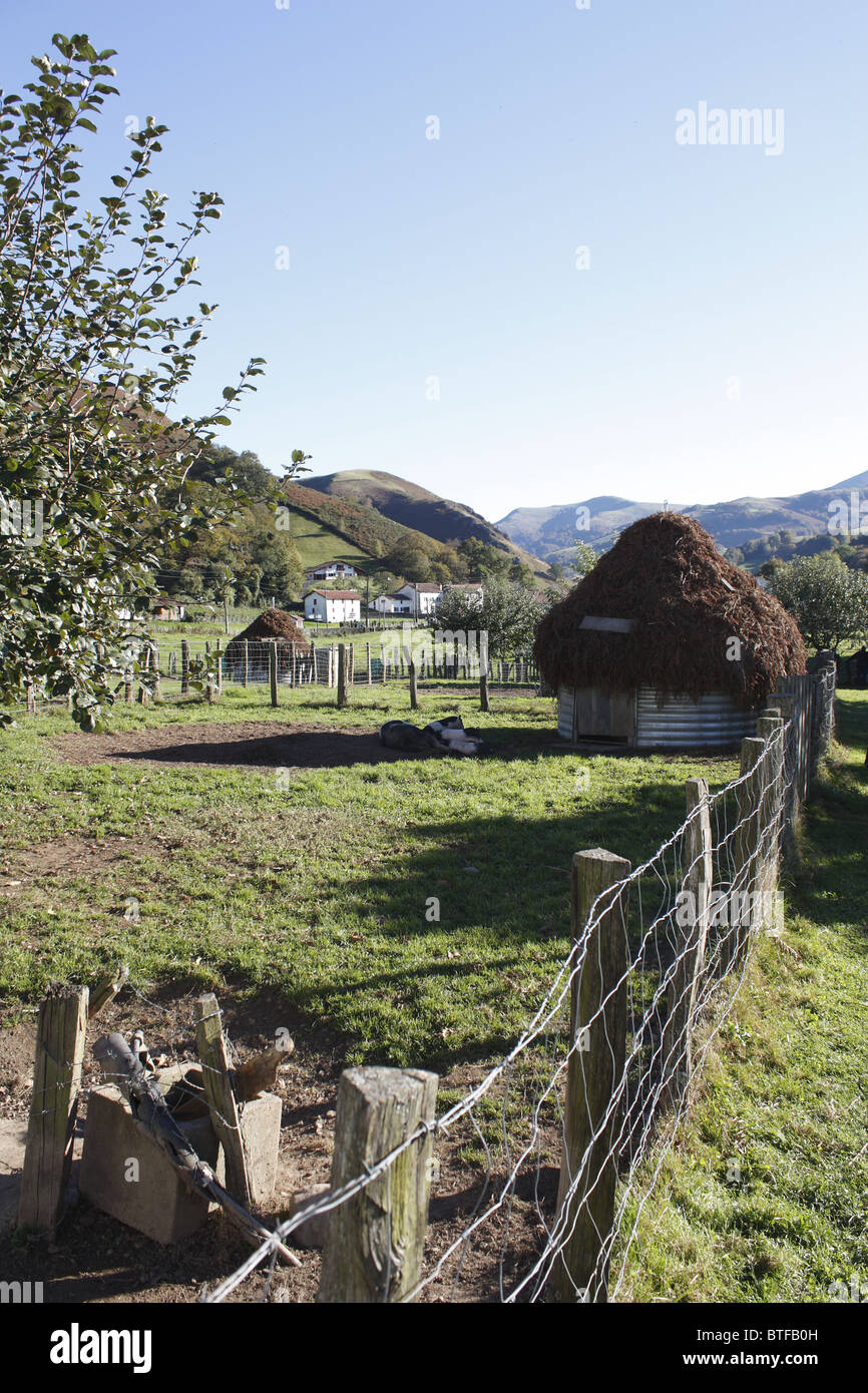 Pigsties sulla valle Kintoa, Pays Basque, Francia Foto Stock