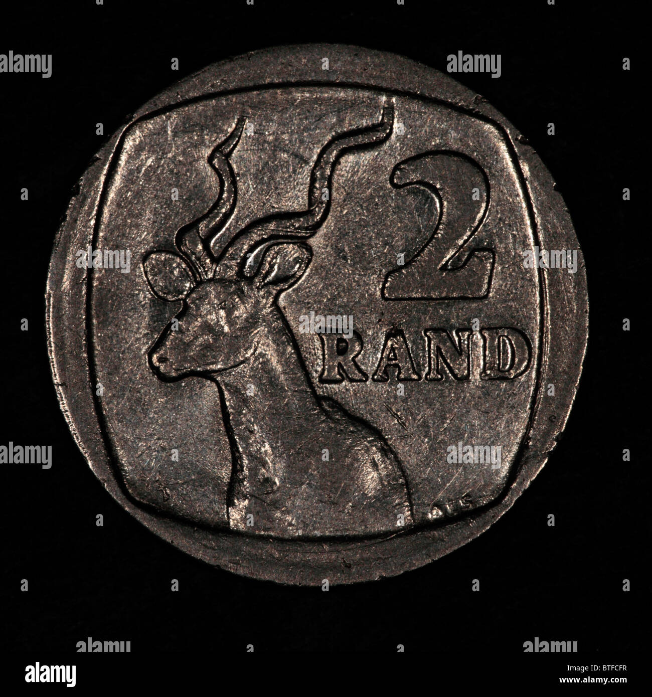 2 Rand COIN, Coin Sud Africa con uno Springbok Foto Stock