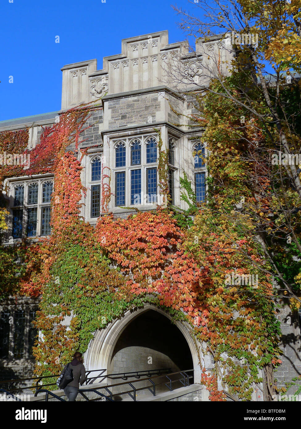 Hart House, Università di Toronto, con colorati Ivy in autunno Foto Stock