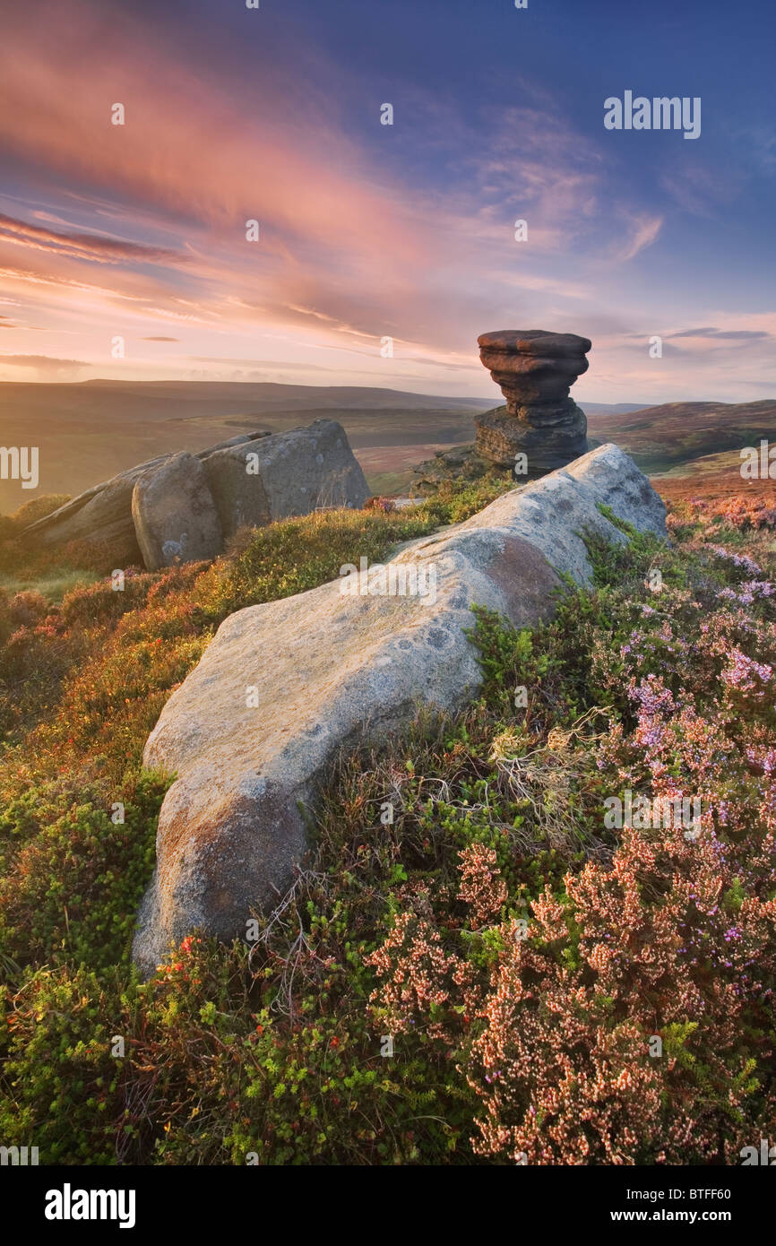 Gritstone formazione rocciosa conosciuta come " La cantina sale' sul bordo Derwent al tramonto nel Derbyshire Peak District, REGNO UNITO Foto Stock