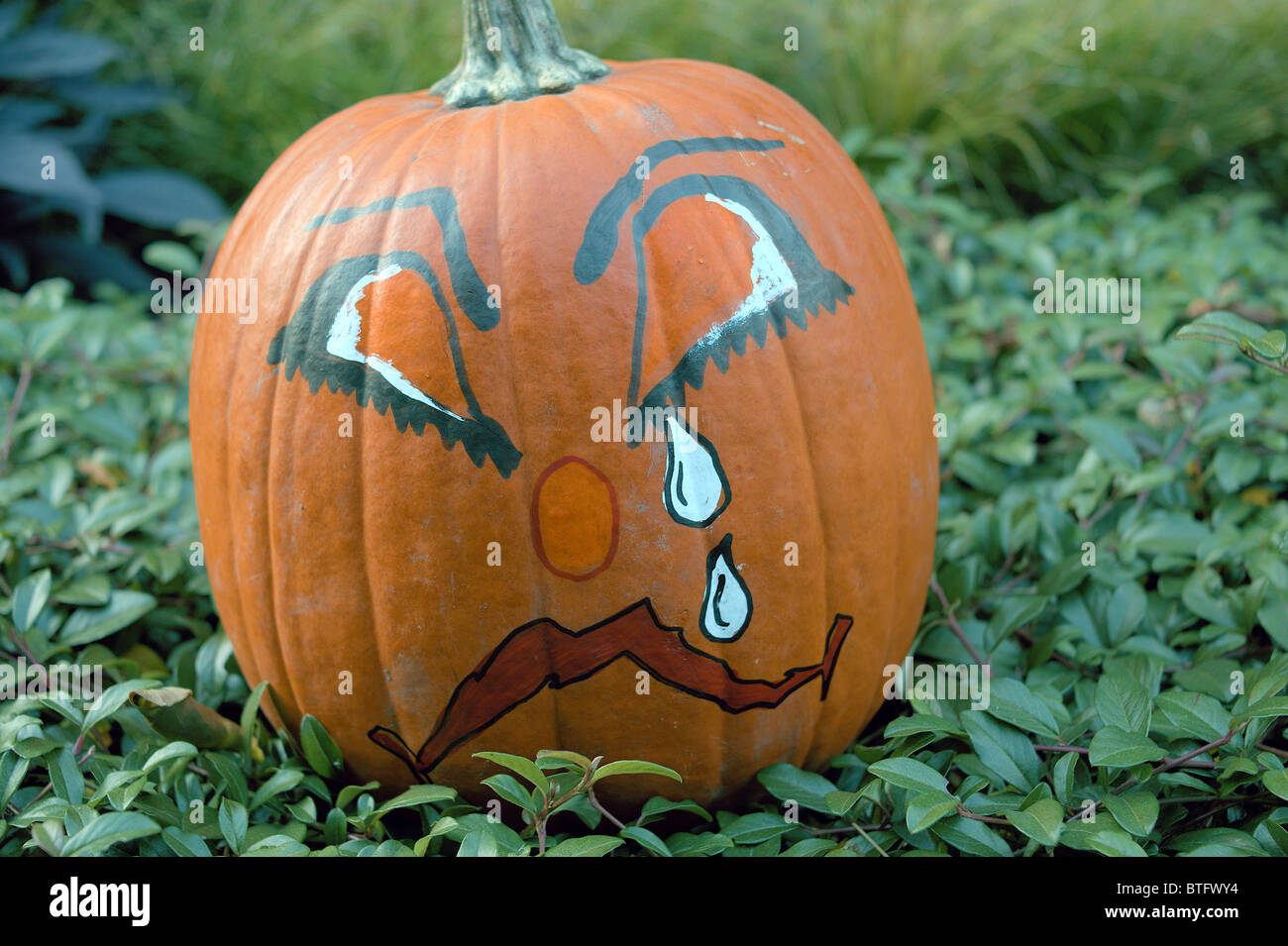 Il pianto il pianto di zucca lamento cry Foto Stock