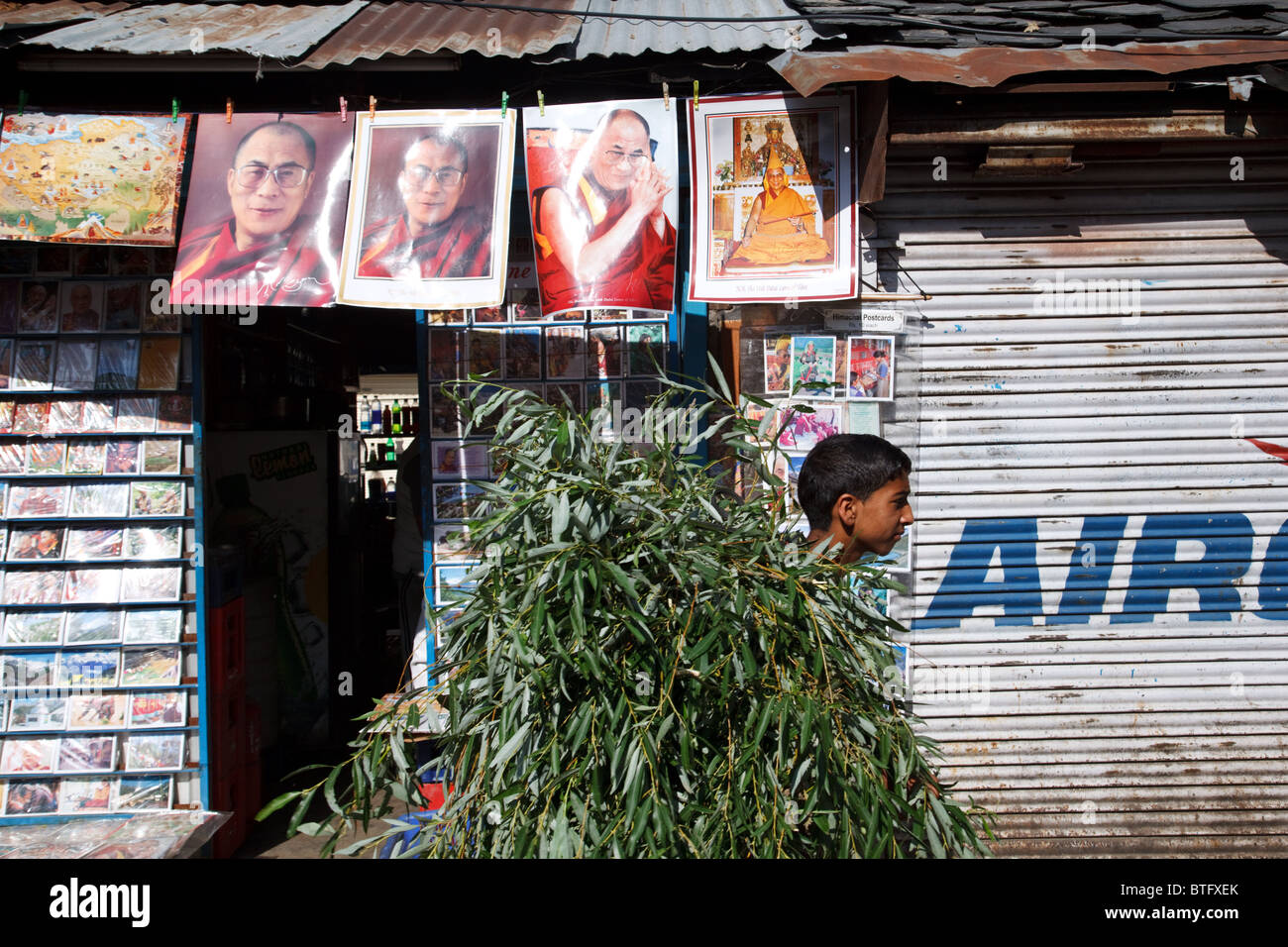Un ragazzo porta una pila di rami di alberi in strada decorate con ritratti di Dalai Lama di McLeod Ganj, India Foto Stock