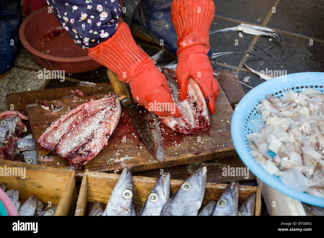 Jagalchi Mercato del Pesce Busan Corea del Sud Foto Stock
