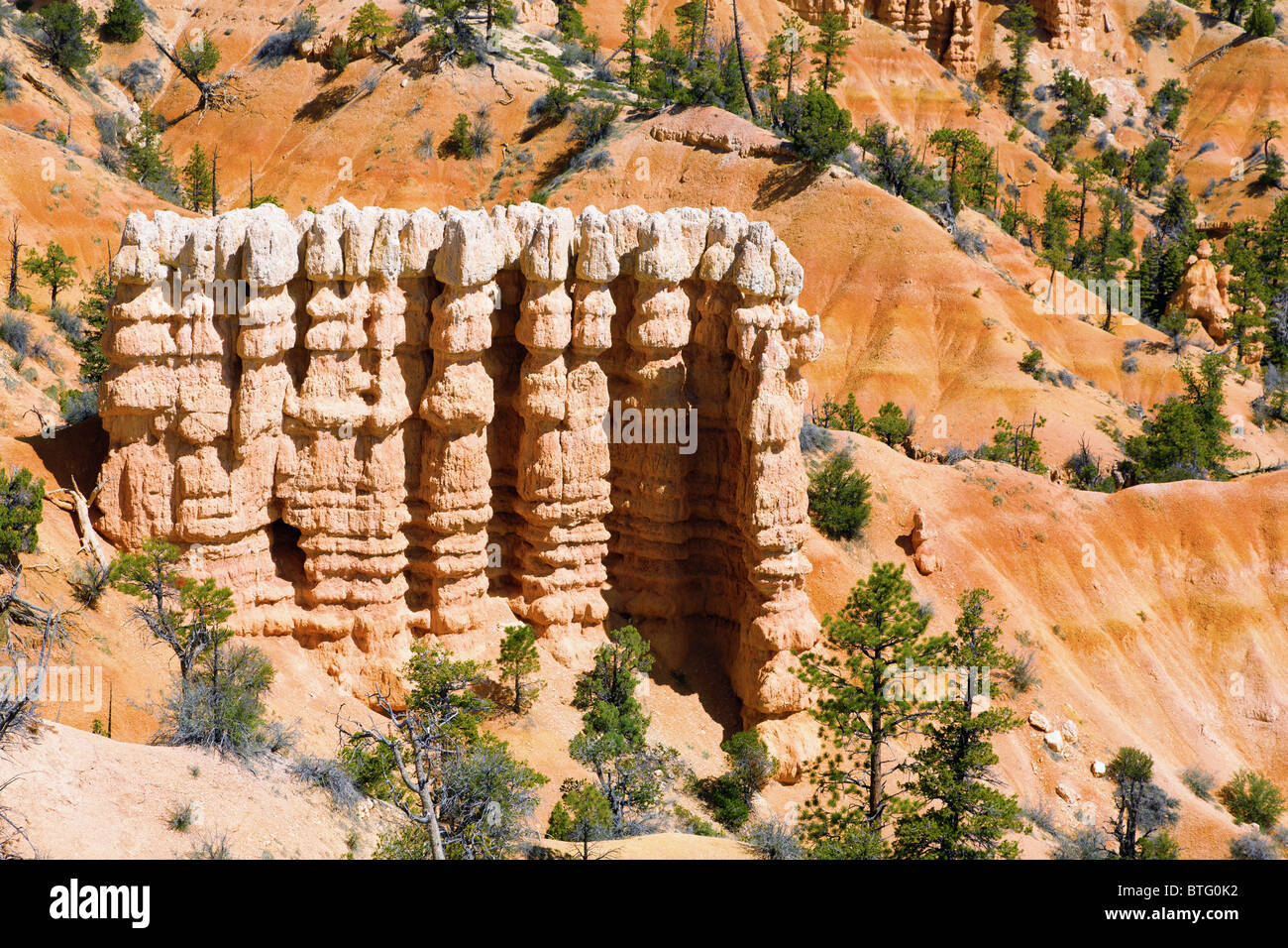 Le formazioni rocciose a Bryce Canyon Foto Stock