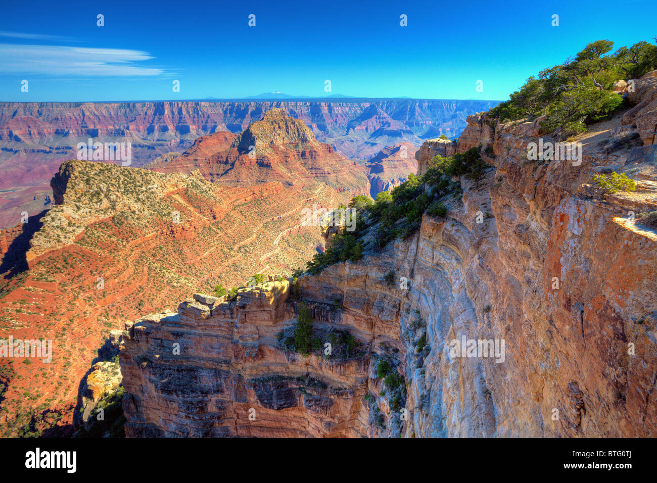 North Rim del Grand Canyon Foto Stock