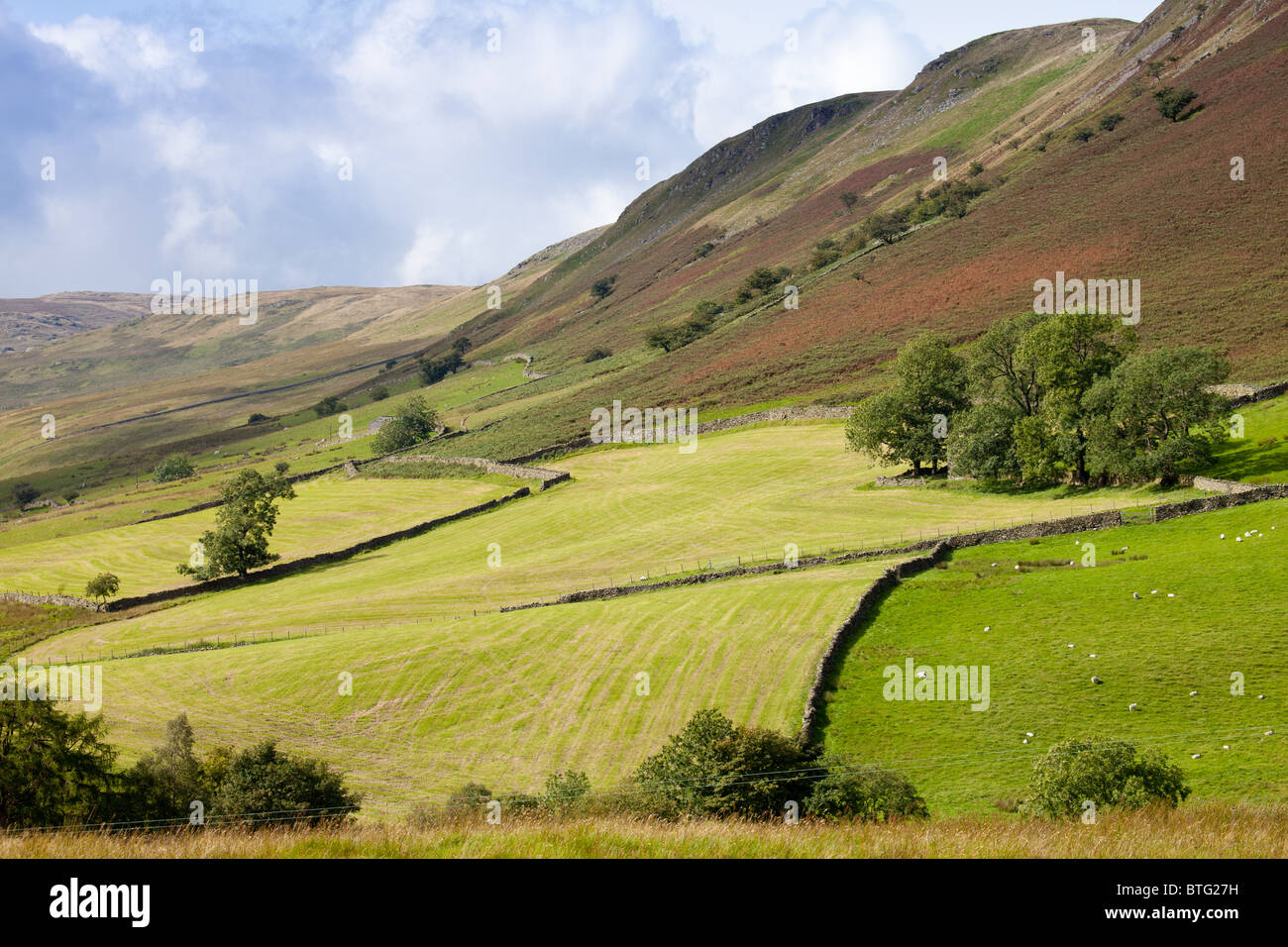 Vista sulla Howgill Fells in Cumbria, Inghilterra, uUK sun illuminazione i terreni agricoli e il Fells sopra. Foto Stock