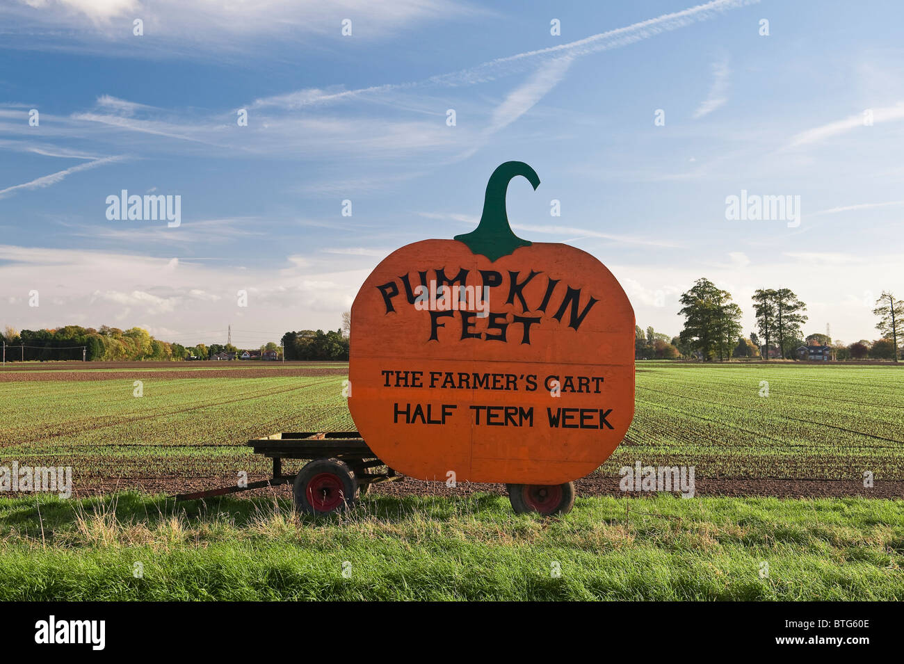 Un cartello enorme su una fattoria del Lincolnshire, che fa pubblicità alle zucche in vendita ad Halloween (UK) Foto Stock