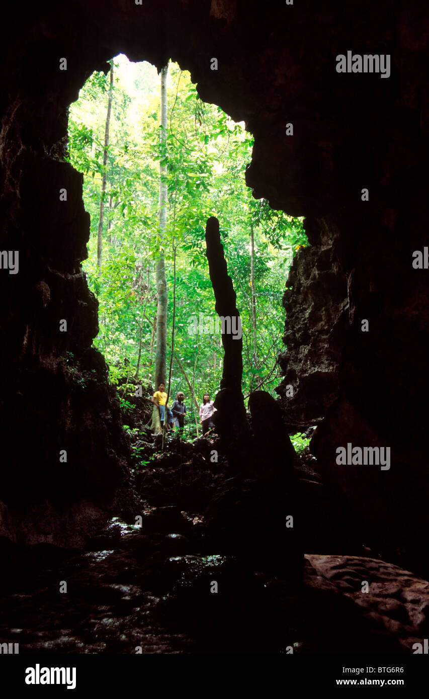 Uno dei più grandi di una serie di grotte, casa per le Filippine " primi abitanti, noti collettivamente come le grotte di Tabon. Foto Stock