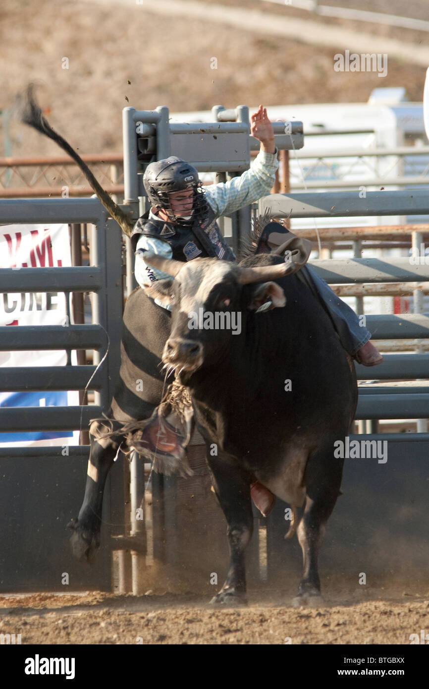 Cowboy Jake Wade compete nel toro di equitazione evento presso il San Dimas Rodeo a San Disma il 2 ottobre 2010. Foto Stock