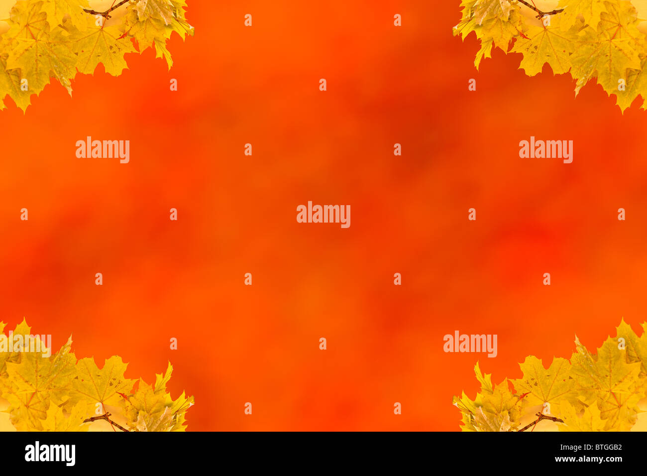 Autunno foglie di acero fotogramma vuoto con spazio per il testo Foto Stock