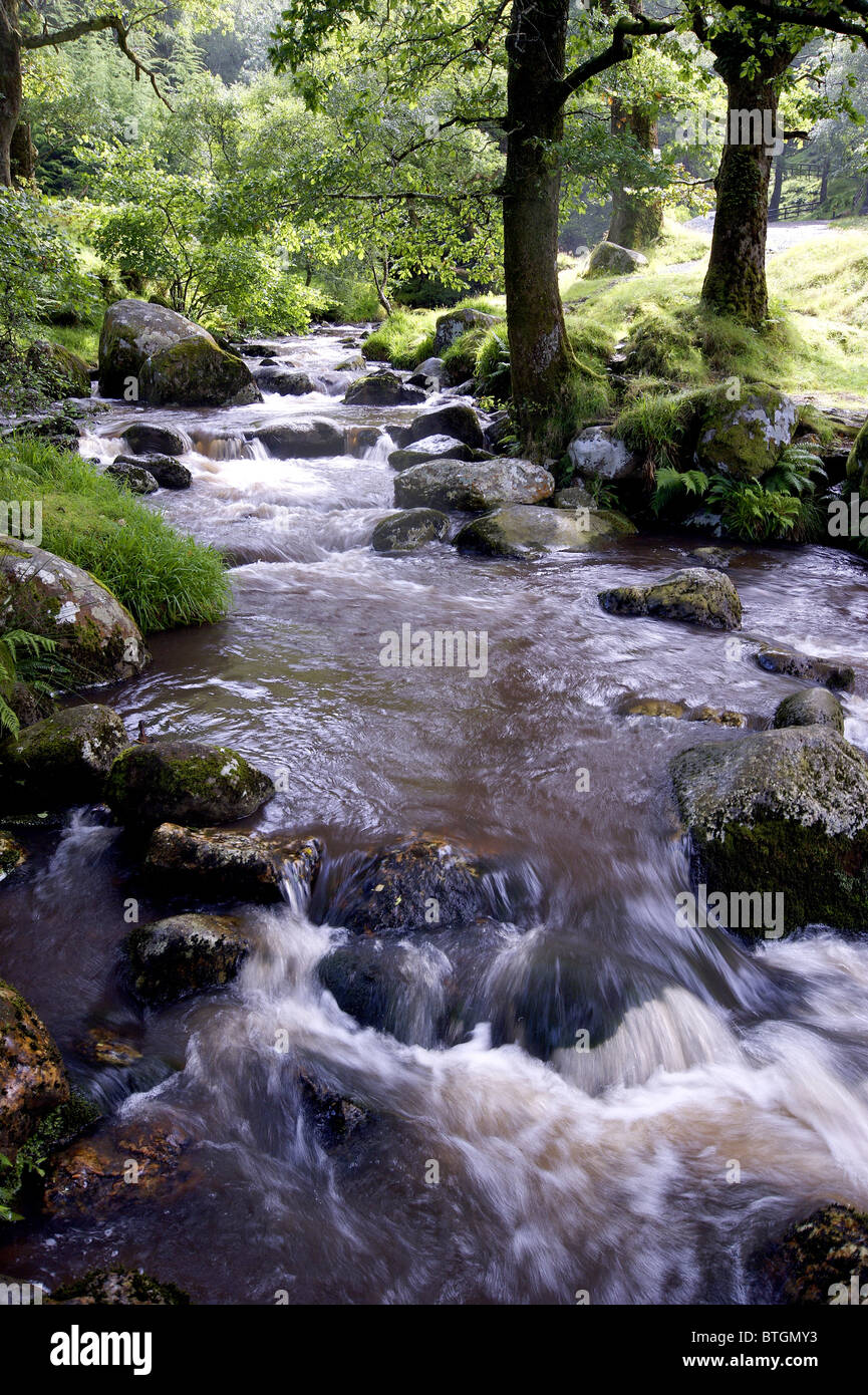 Irish woodland stream, glendalough, County Wicklow, Irlanda Foto Stock