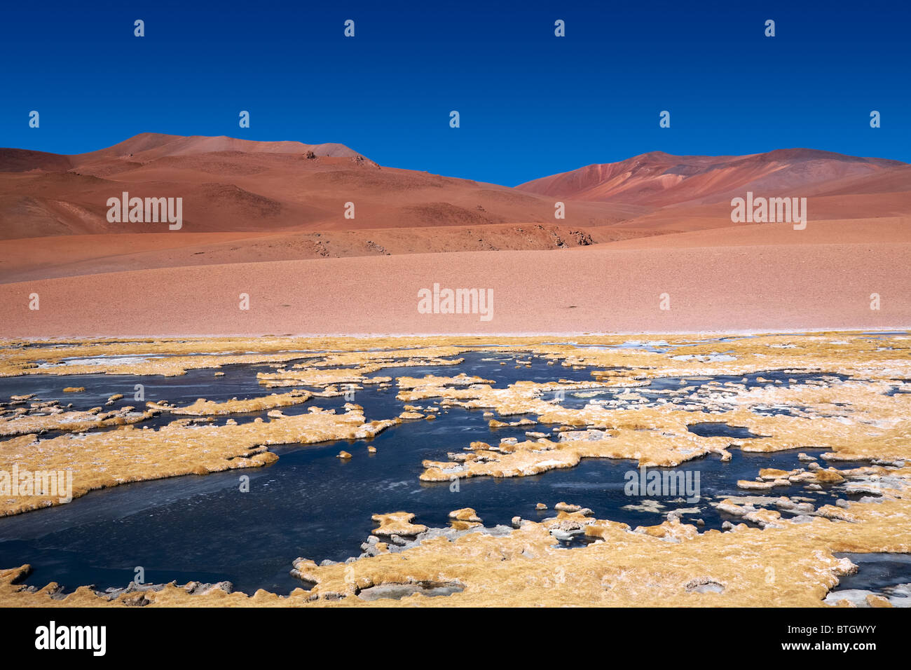 Laguna gelata Quepiaco nel deserto di Atacama, Cile Foto Stock