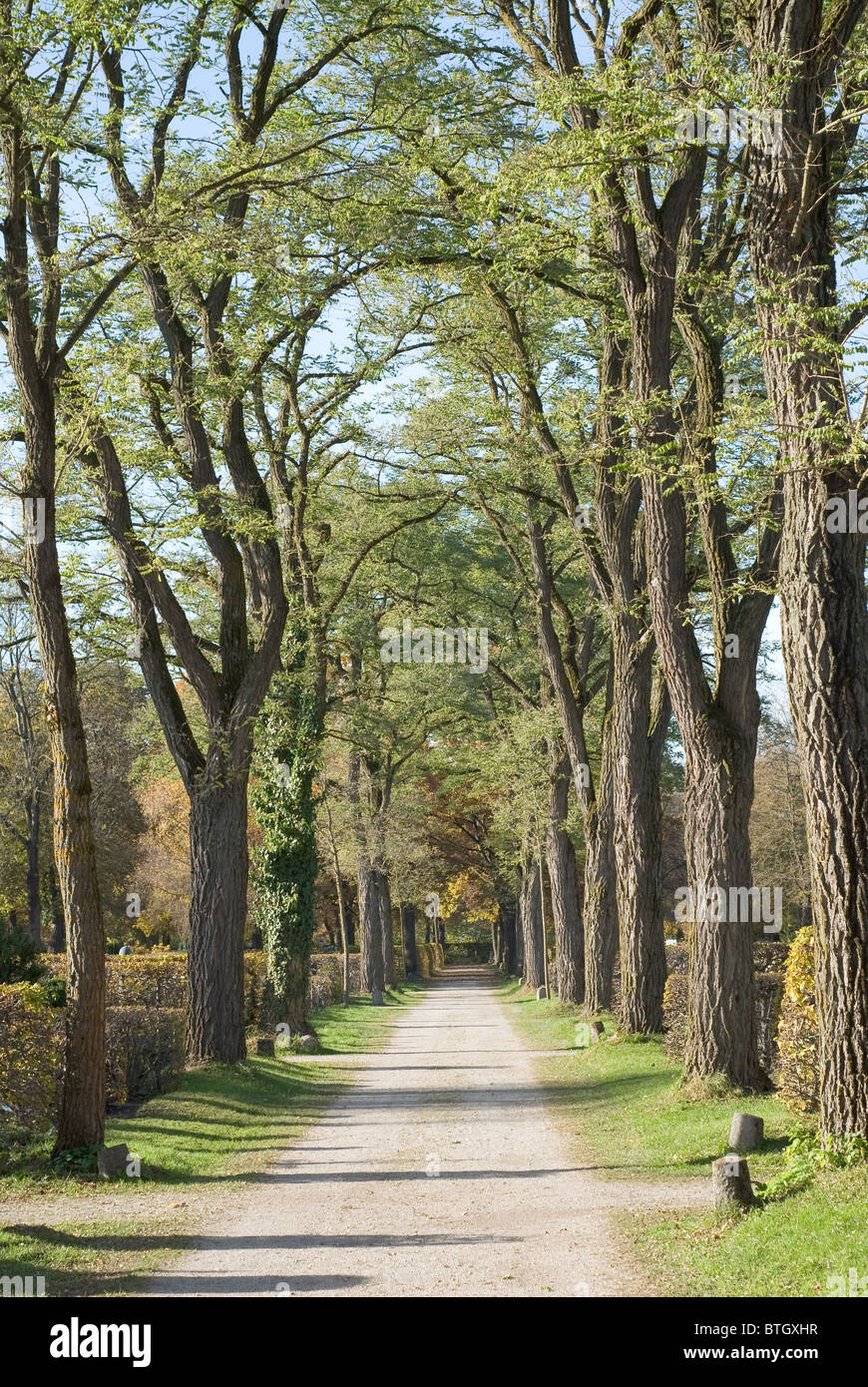 Paese strada fiancheggiata con colorato paesaggio autunnale Foto Stock