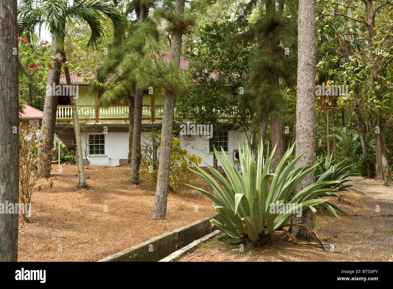 Casa nella foresta impostazione Windward Islands West Indies Caraibi Foto Stock