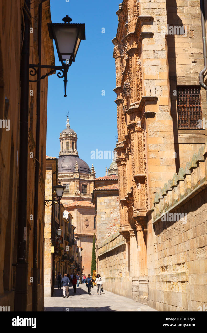 Salamanca, provincia di Salamanca, Spagna. La cupola del Barocco Iglesia de la Clerecia visto lungo la Calle Libreros. Foto Stock
