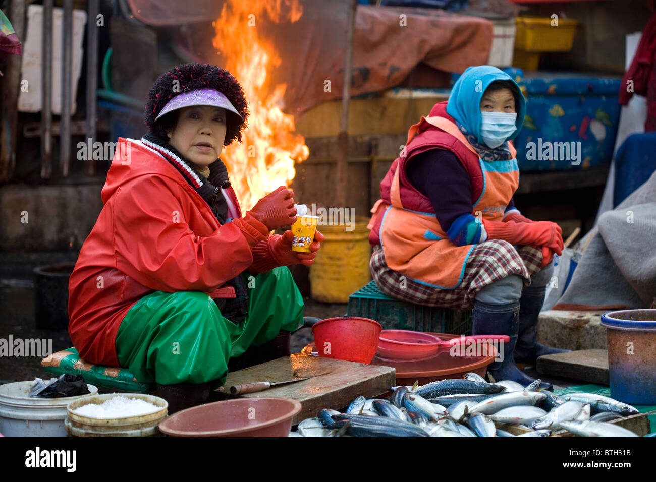 Azuma Ladies vendita pesce a Jagalchi Mercato del Pesce Busan Corea del Sud Foto Stock