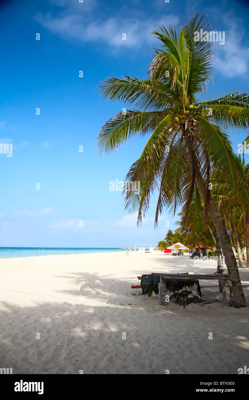 Spiaggia a Isla Mujeres, Messico Foto Stock