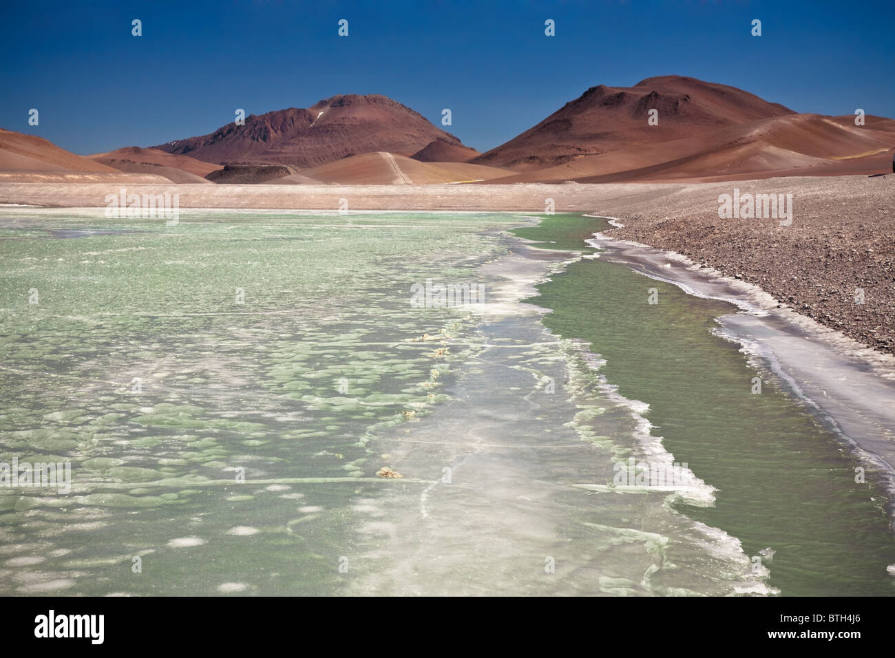 Vista sulla laguna gelata Quepiaco nel deserto di Atacama, Cile Foto Stock