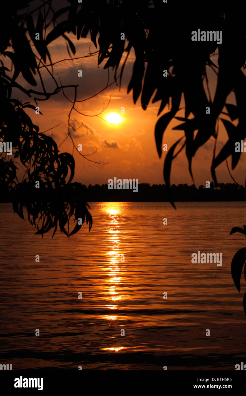 L'oro caldo sole mette a fuoco il mare... Sun, il capolavoro della natura, riflette sul mare e docce la sua gloria prima farewel Foto Stock