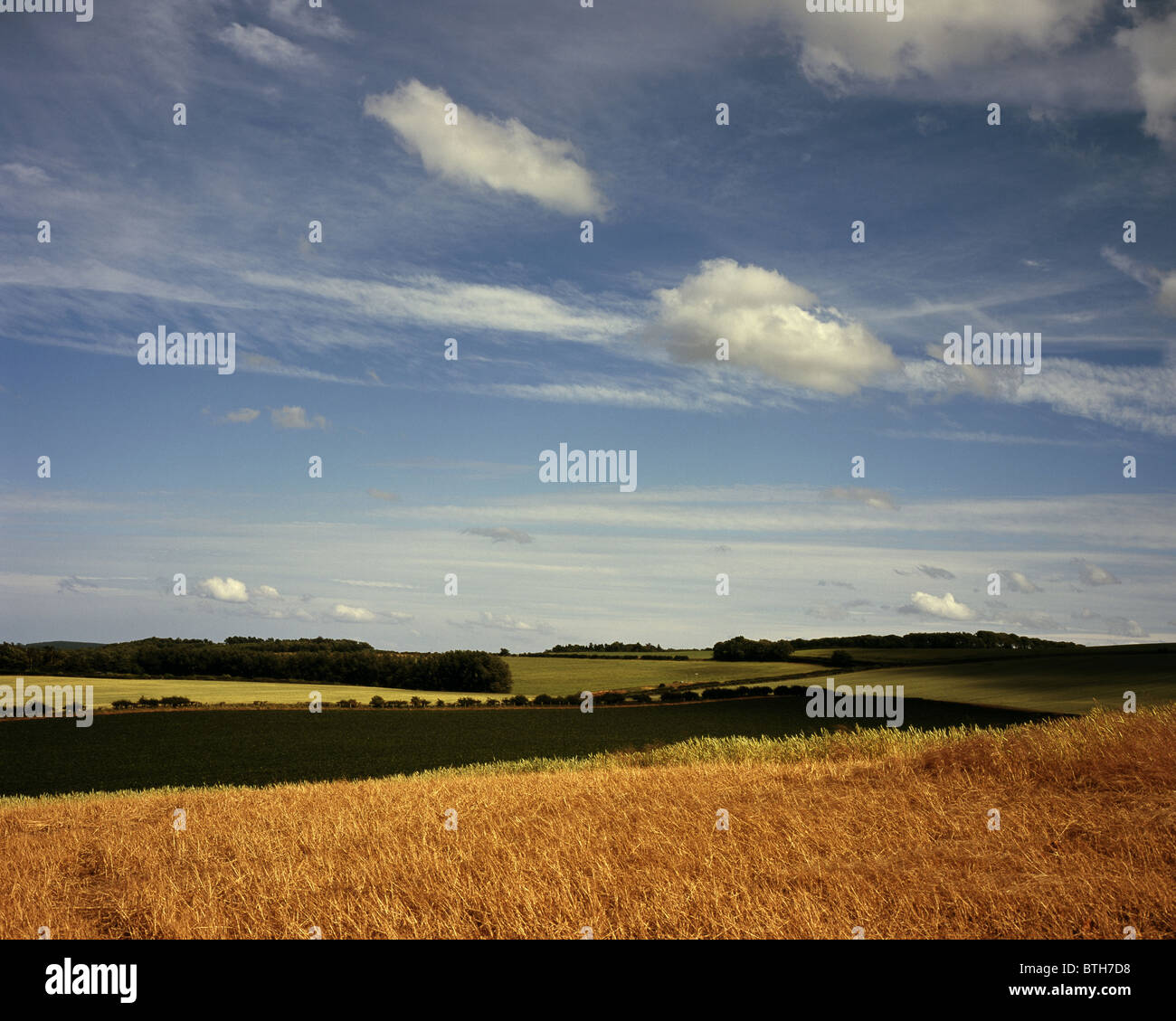 Campo Flodden 1513 il sito della battaglia nei pressi del villaggio di Branxton Northumberland Inghilterra Foto Stock