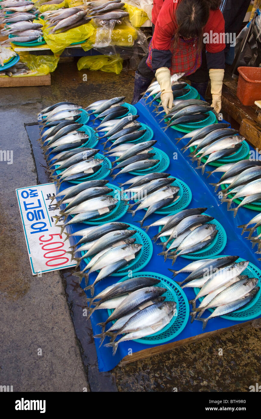 Jagalchi Seafood o Mercato del Pesce Busan Corea del Sud Foto Stock