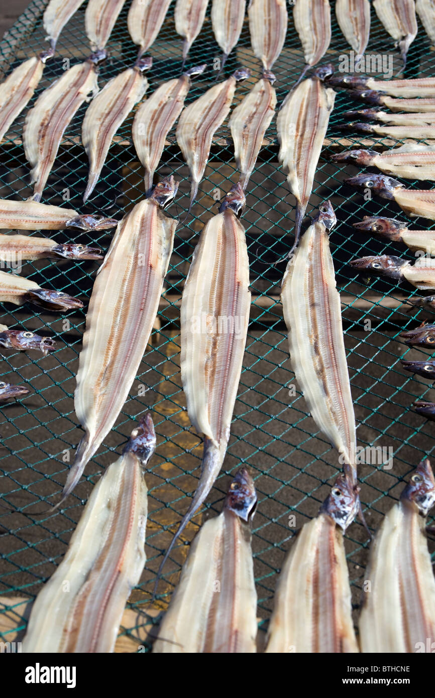 Essiccazione di pesce su scaffalature a Jagalchi Seafood o Mercato del Pesce Busan Corea del Sud Foto Stock