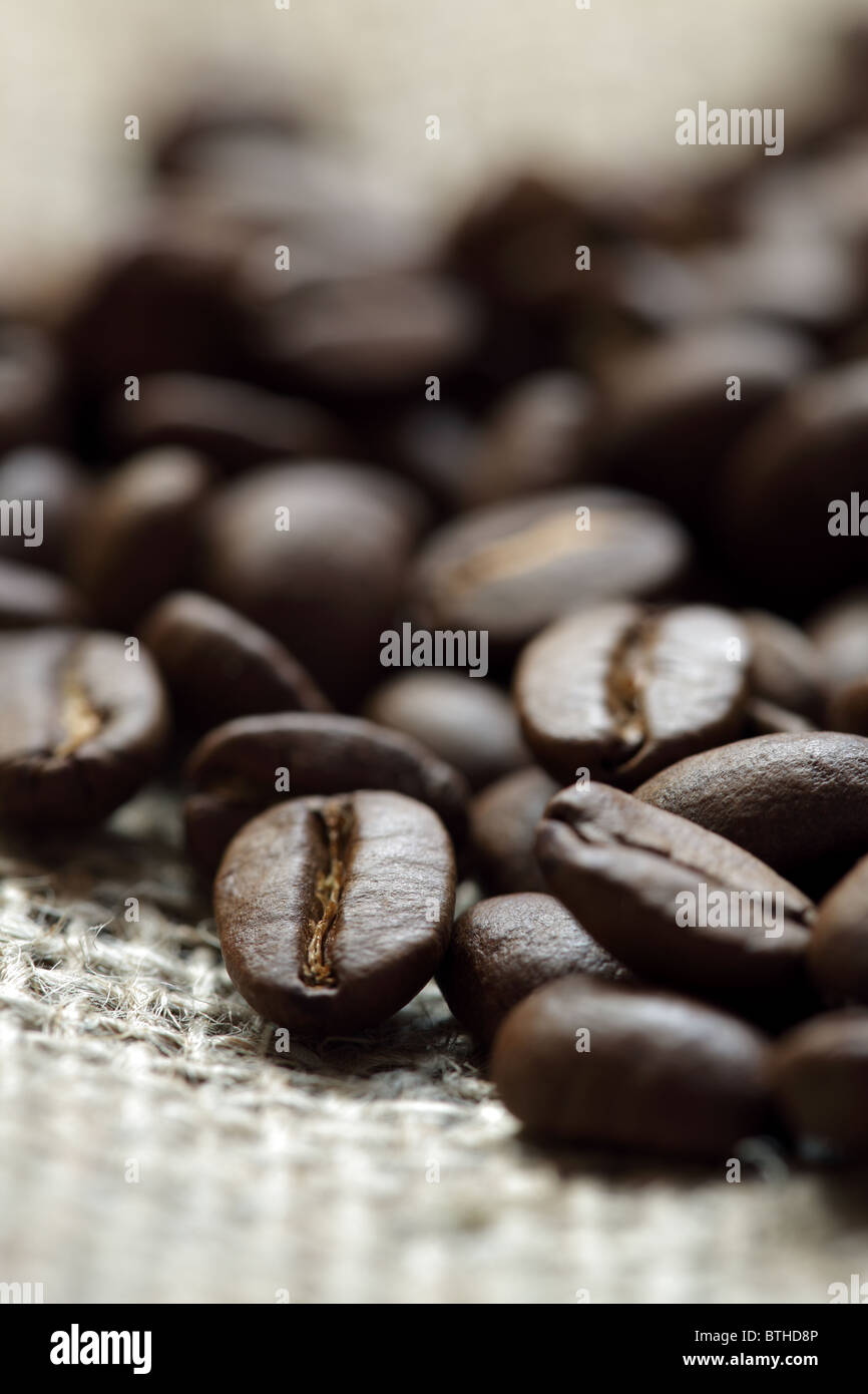 Chicchi di caffè Foto Stock