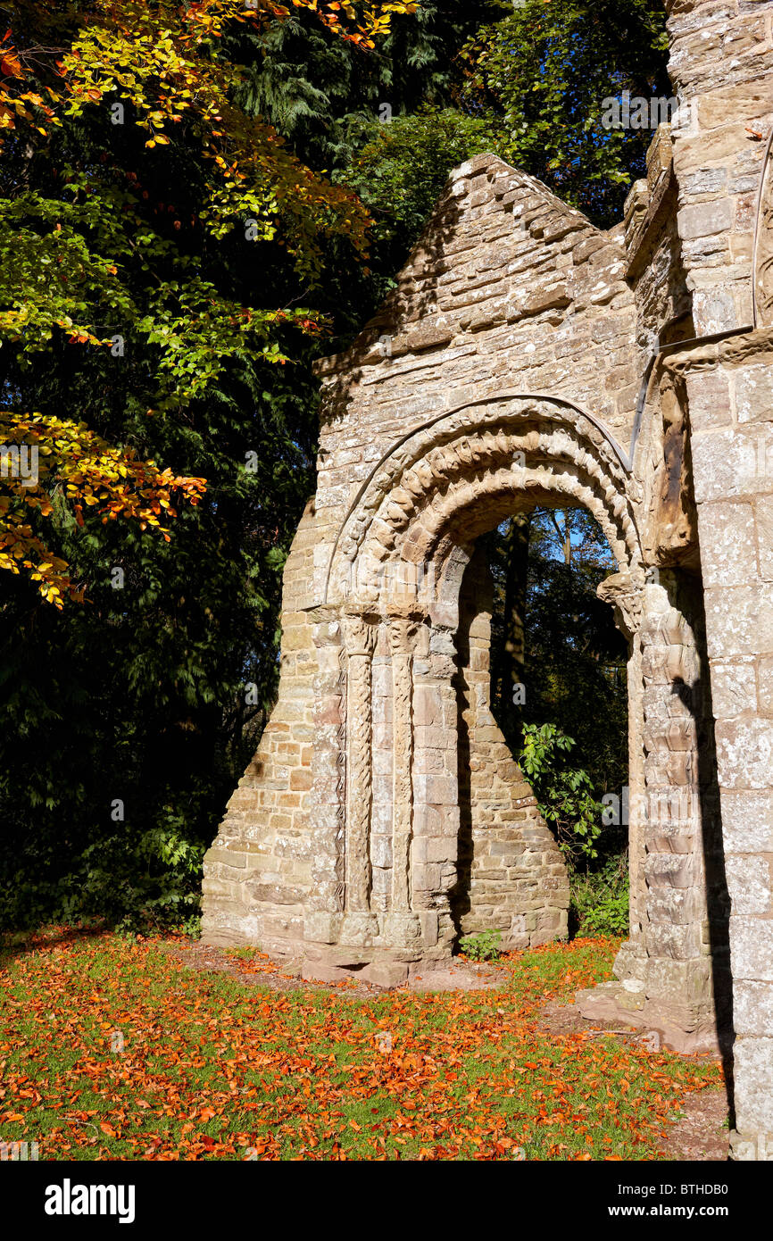 Archi Shobdon, Herefordshire, autunno Foto Stock