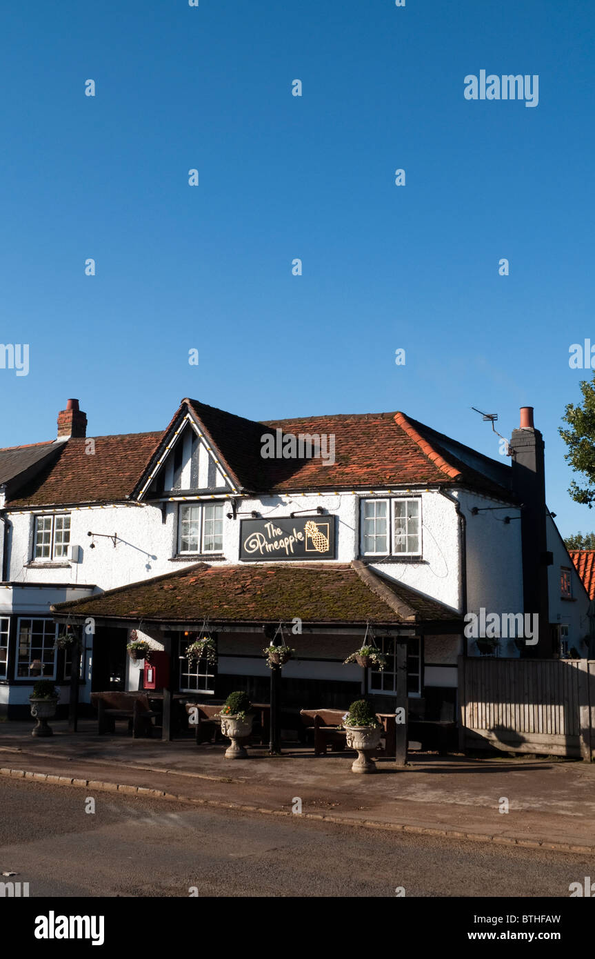 L'ananas pub è una strada pubblica house situato in riva al lago di fine vicino Dorney Berkshire REGNO UNITO Foto Stock