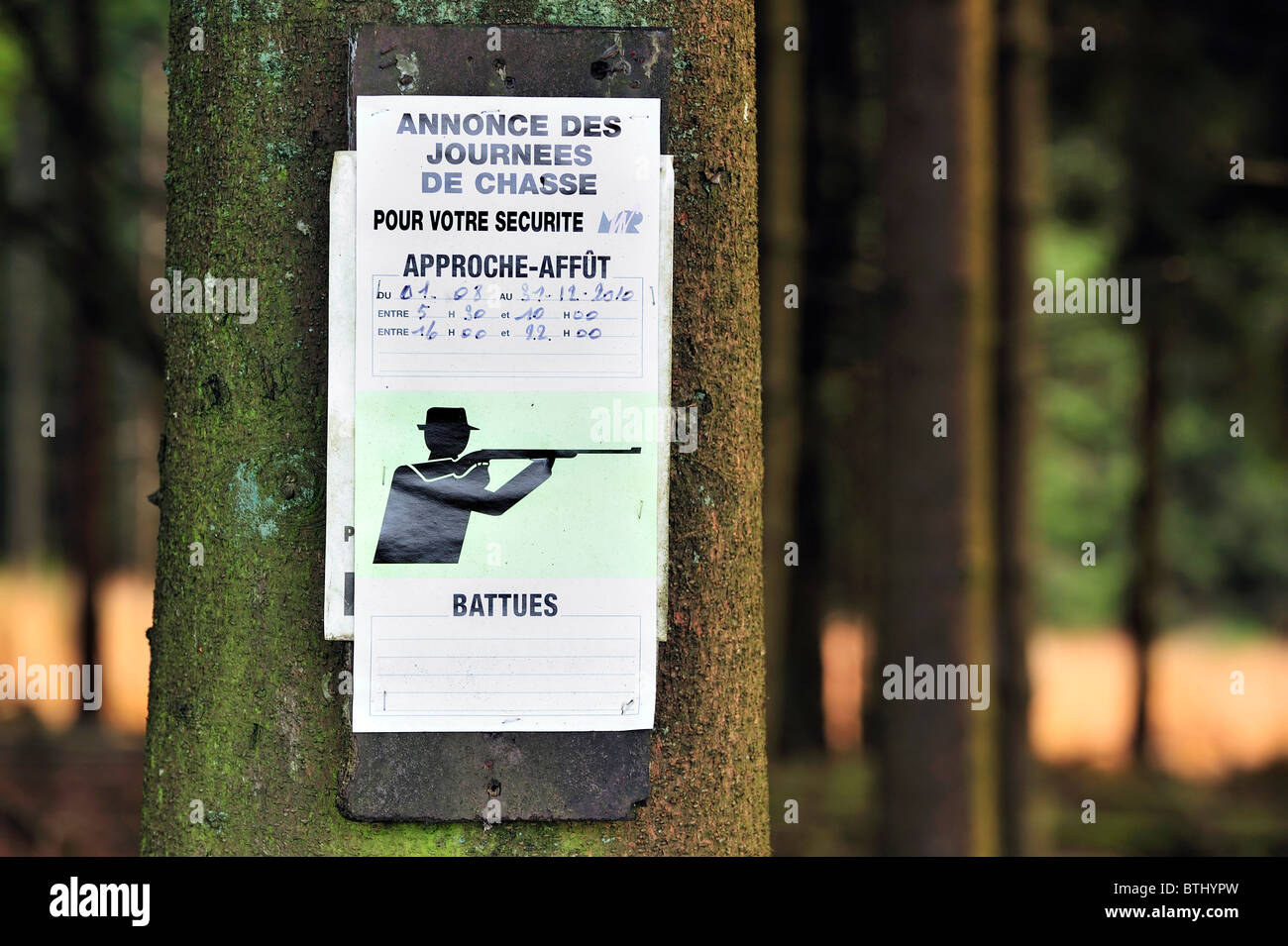 Annuncio della stagione di caccia in foresta, Ardenne, Belgio Foto Stock