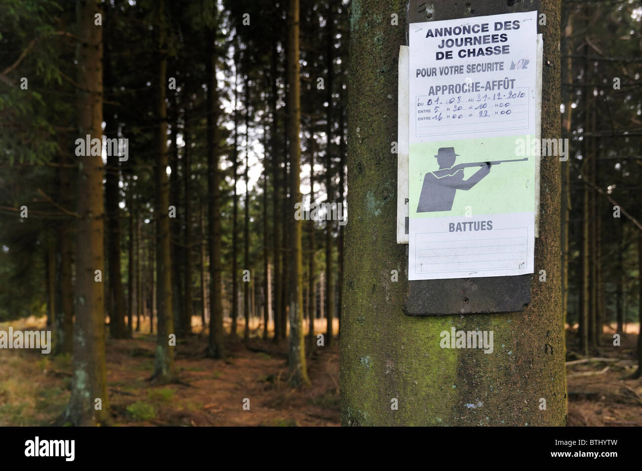 Annuncio della stagione di caccia in foresta, Ardenne, Belgio Foto Stock