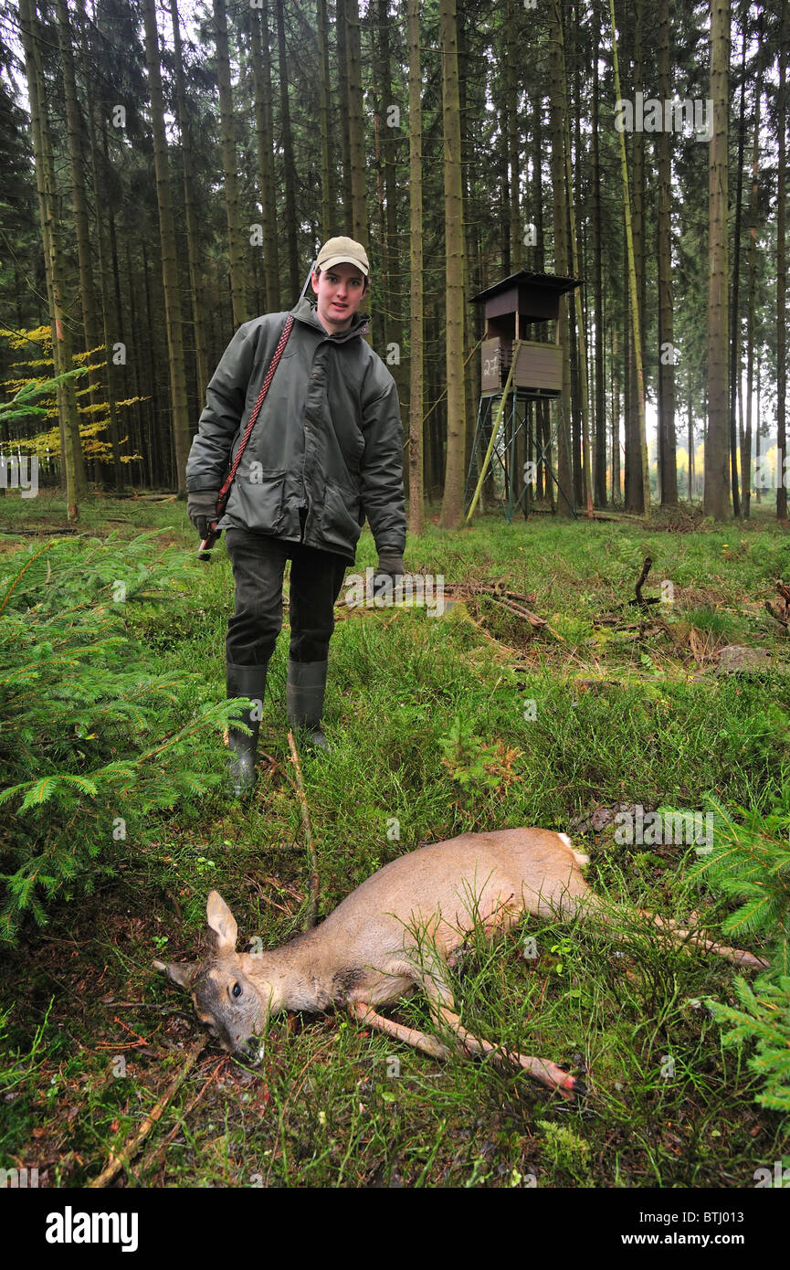 Cacciatore con shot il capriolo (Capreolus capreolus) e piedistallo rialzato in foresta, Ardenne, Belgio Foto Stock