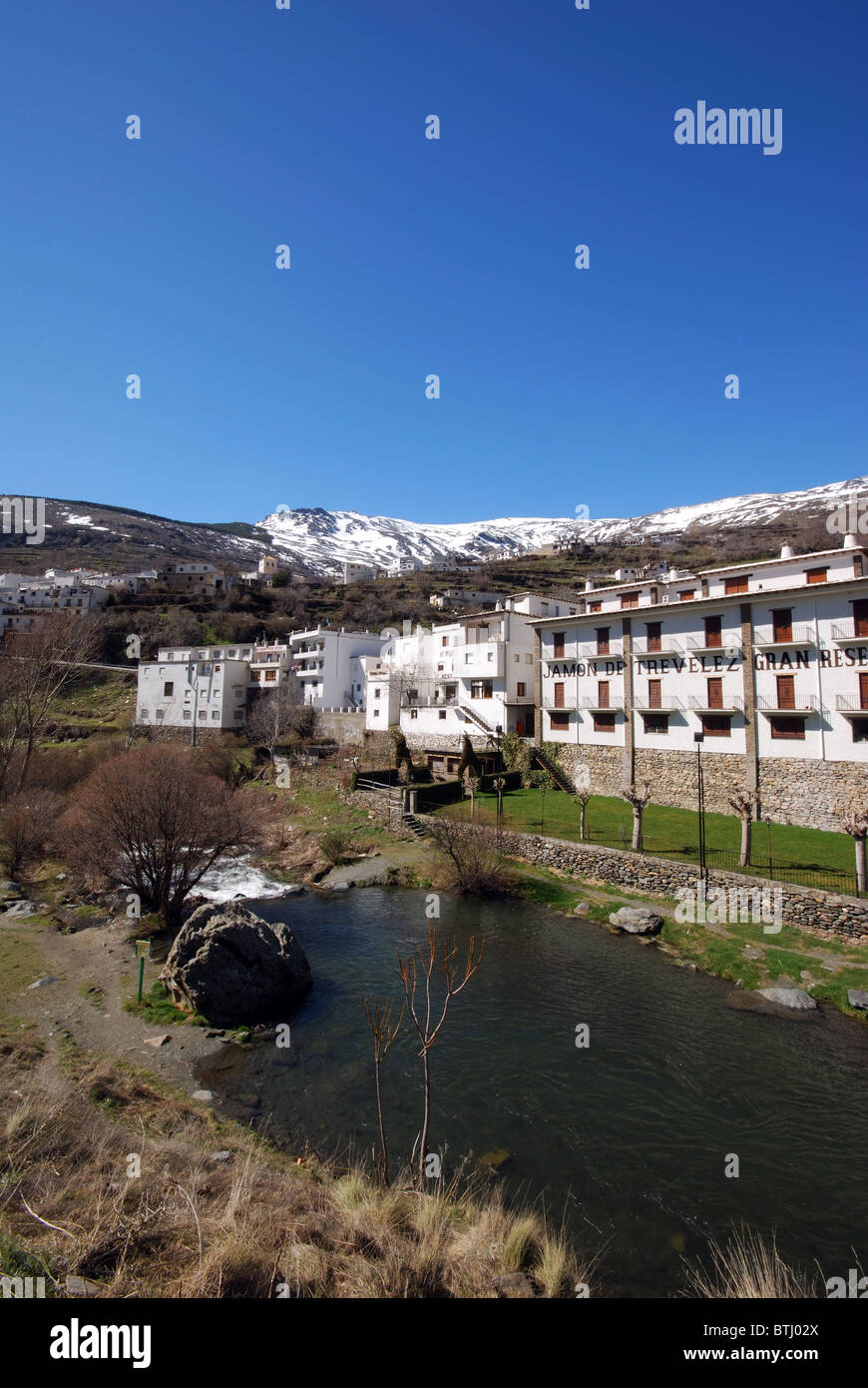 Prosciutto cotto (jamon serrano) impianti e con flusso di montagne innevate a posteriori, Ohanes, Las Alpujarras, Andalusia. Foto Stock