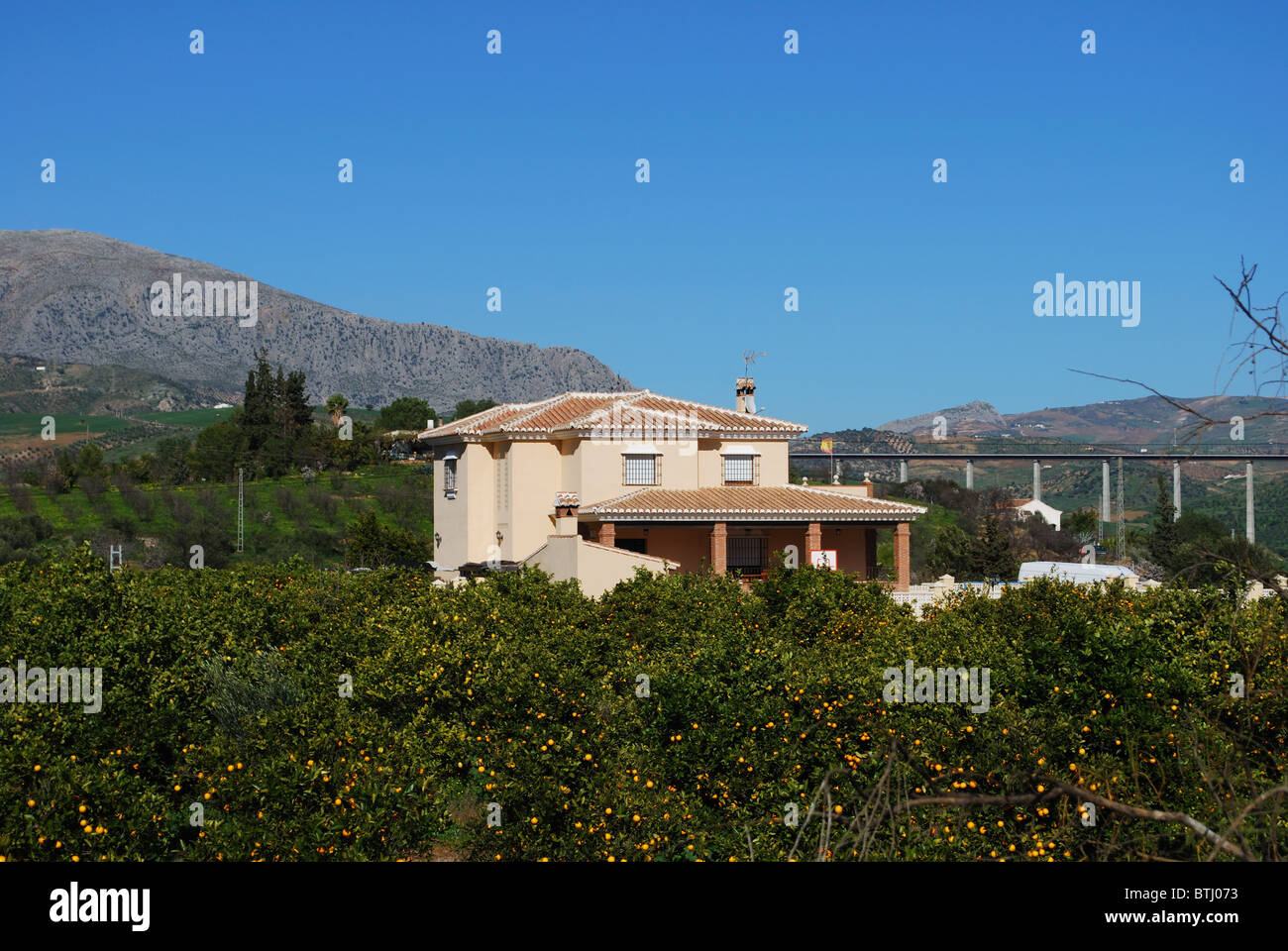Casa di campagna con alberi di arancio in primo piano, vicino a Alora, provincia di Malaga, Andalusia, Spagna, Europa occidentale. Foto Stock