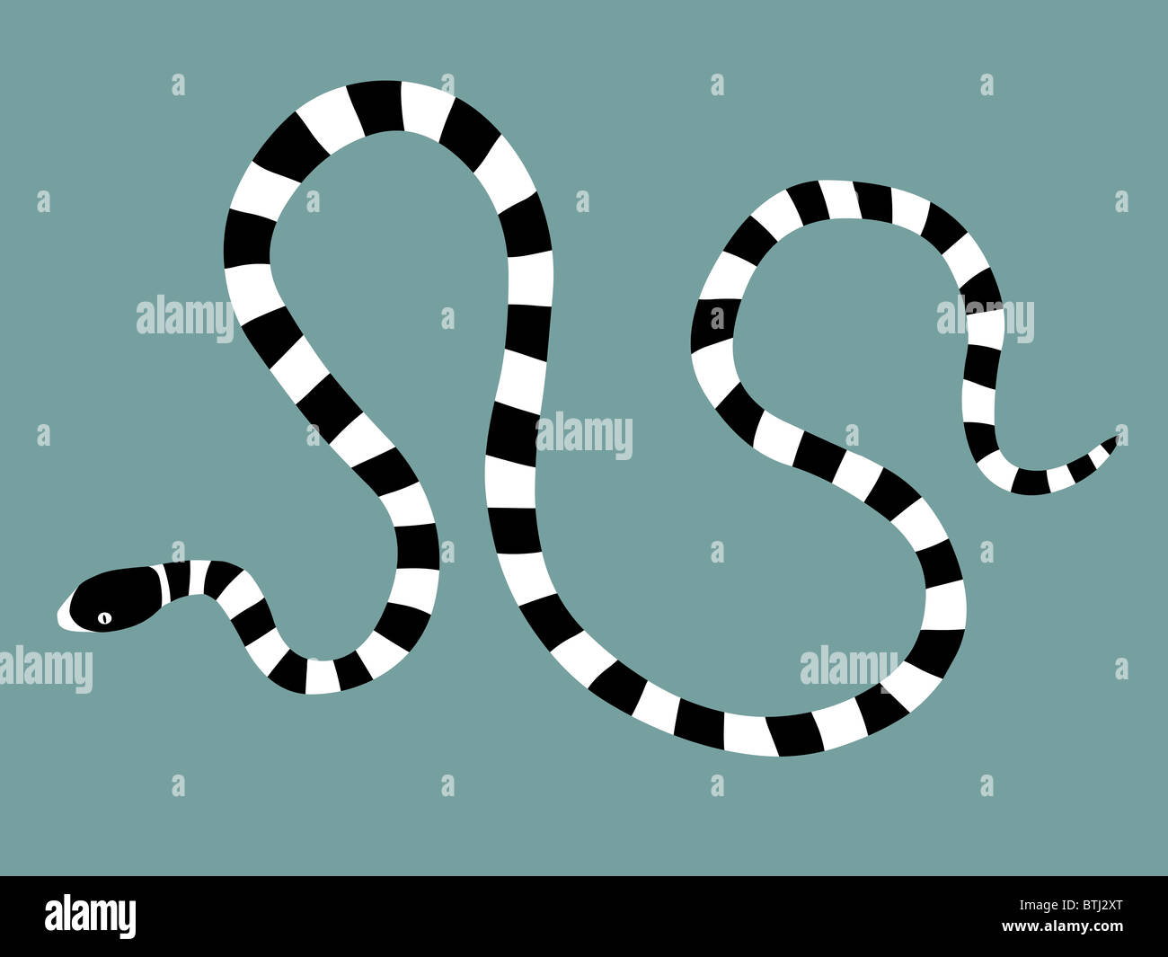 Illustrazione di un serpente di mare (krait) Foto Stock