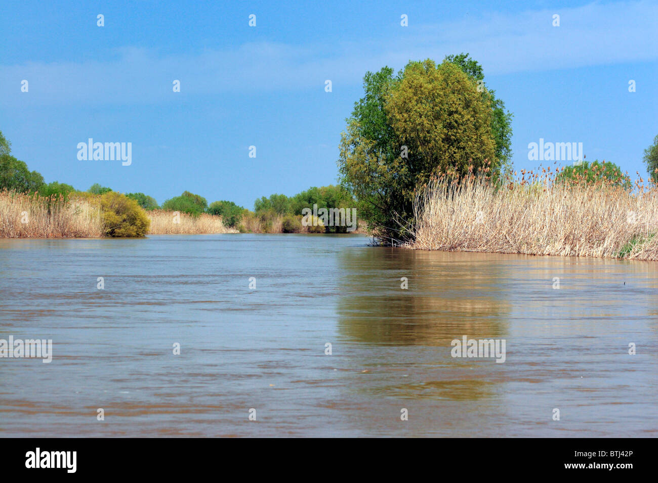 Fiume Volga Delta, Regione di Astrakhan, Russia Foto Stock