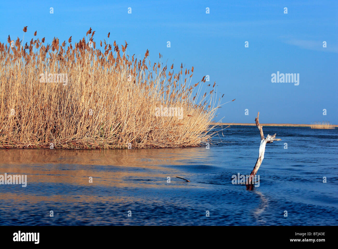 Fiume Volga Delta, Regione di Astrakhan, Russia Foto Stock