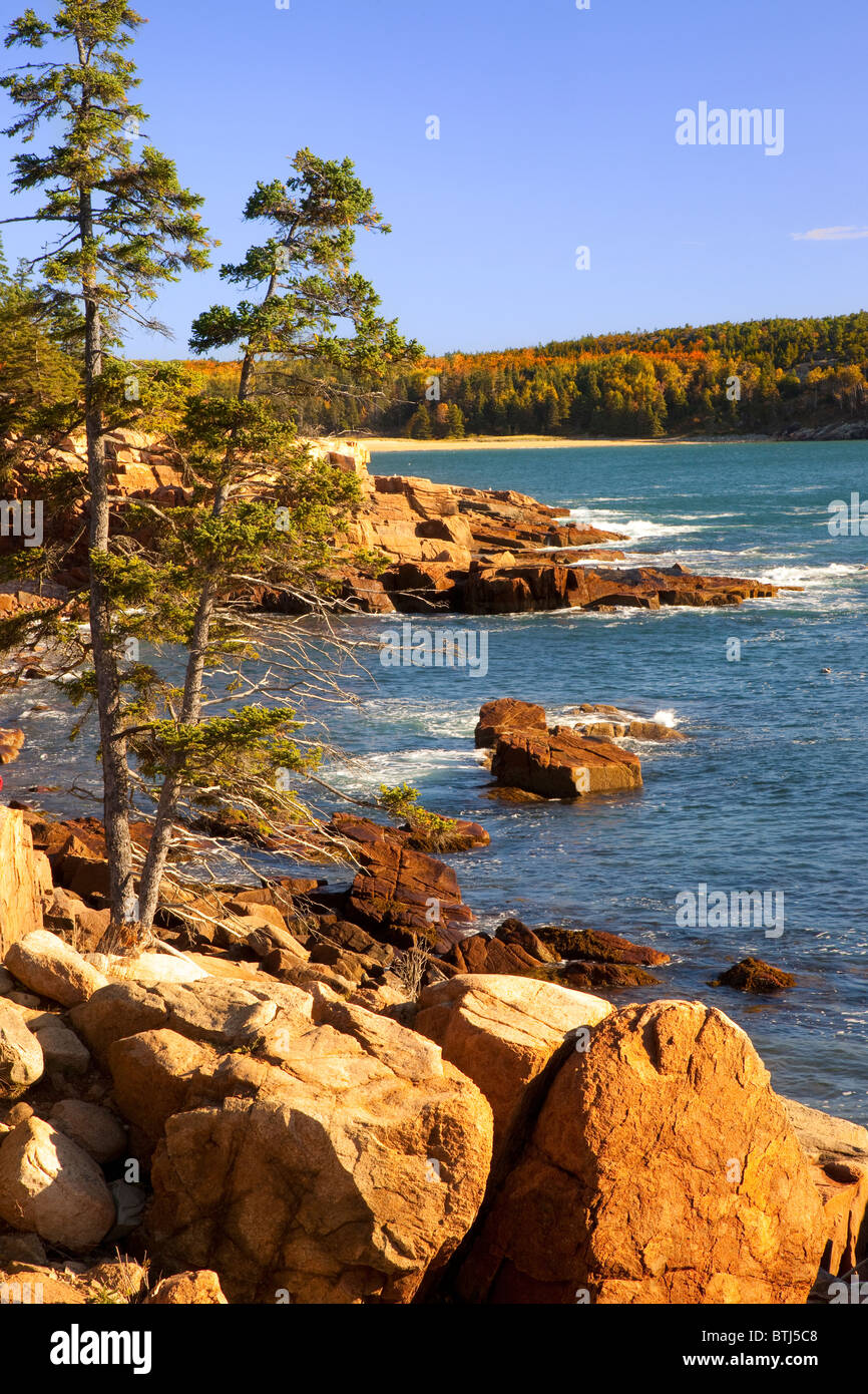 Costa del Parco Nazionale di Acadia, Maine, Stati Uniti d'America Foto Stock