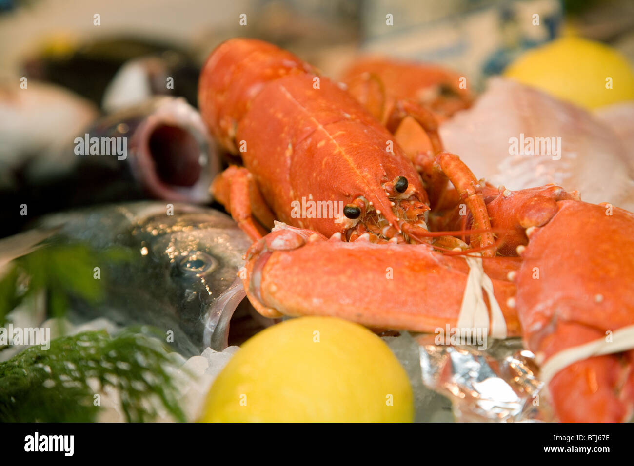 Aragosta per la vendita su un pesce in stallo nel mercato francese delle città di Coulommiers vicino a Parigi, Ile de France Francia Foto Stock