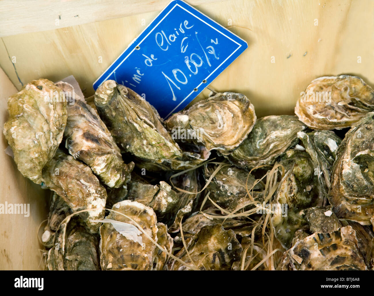 Ostriche per la vendita su un pesce in stallo nel mercato francese delle città di Coulommiers vicino a Parigi, Ile de France Francia Foto Stock