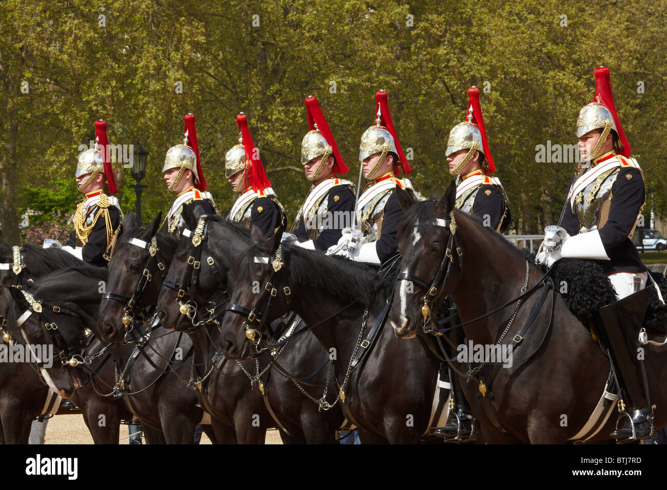 Famiglia britannica cavalleria, modifica del cavallo protezioni, Horse Guards, London, England, Regno Unito Foto Stock