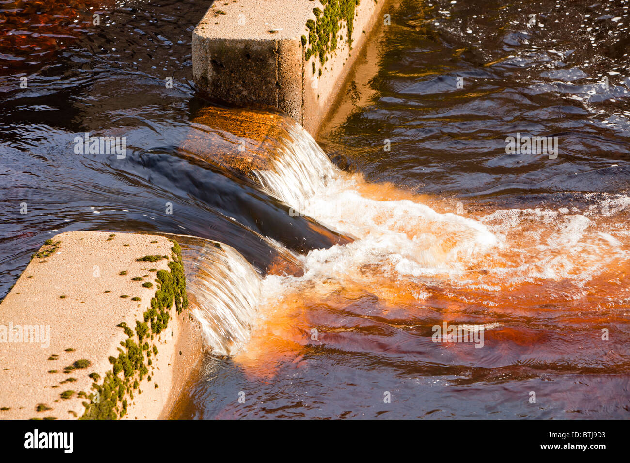 Bolle di ossigeno nella torba colorate acqua nel fiume Dunsop, Trogolo di Bowland, Lancashire, Regno Unito. Foto Stock