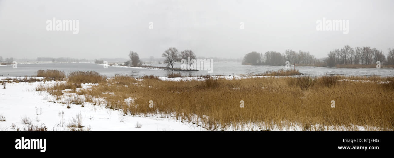 Paesaggio invernale lungo il fiume Mosa vicino Poederoijen, Gelderland, Paesi Bassi Foto Stock