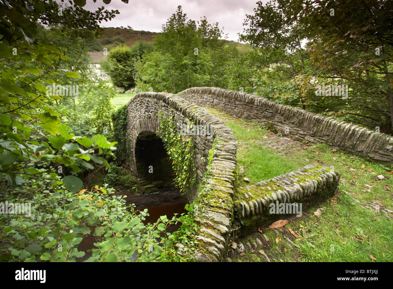 Vecchio piede arcuato ponte tra Oriente Lyn river, Brendon, Parco Nazionale di Exmoor, Devon, Inghilterra, Regno Unito Foto Stock
