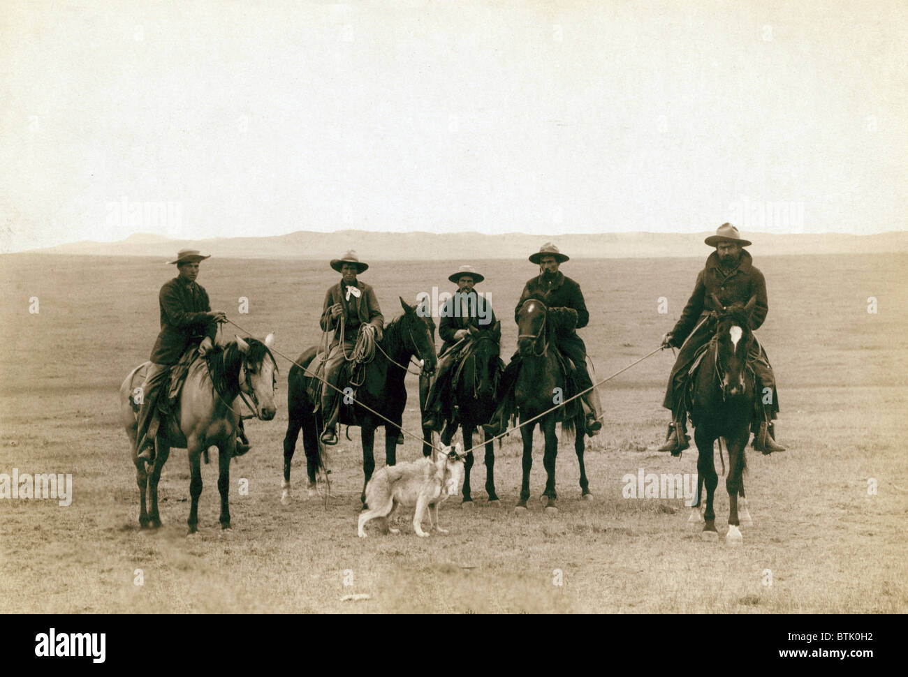 Wild West. "Roping lupo", cowboy prendere in un lupo grigio su 'Round up', in Wyoming, foto da John C. Grabill, 1887 Foto Stock