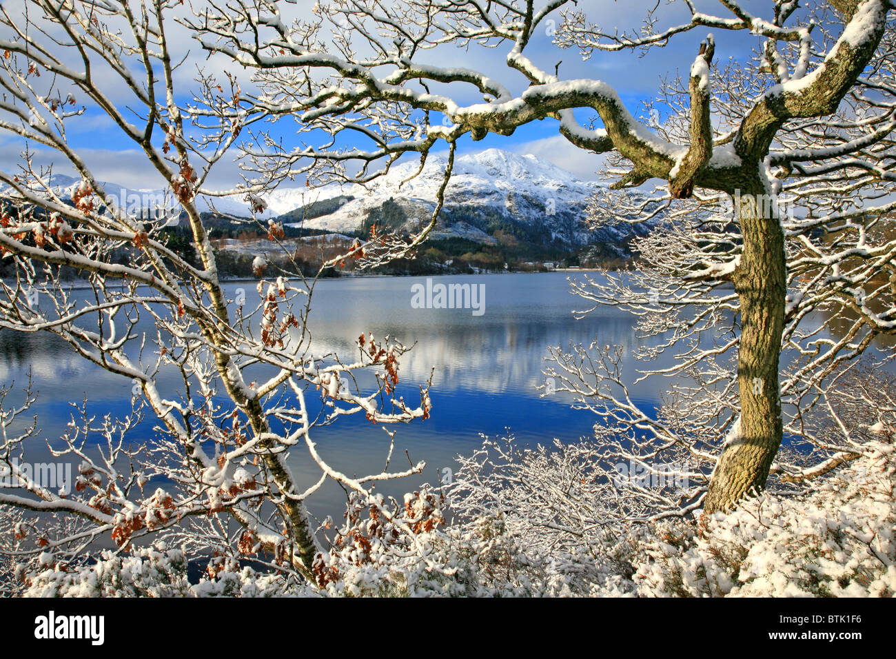 Regno Unito Scozia centrale di Stirlingshire Loch Achray e Ben Venue in inverno Foto Stock