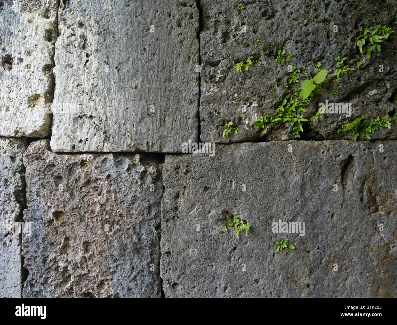 Scolpite in blocchi di pietra del Castello Zakimi Okinawa. Patrimonio mondiale dell UNESCO Foto Stock
