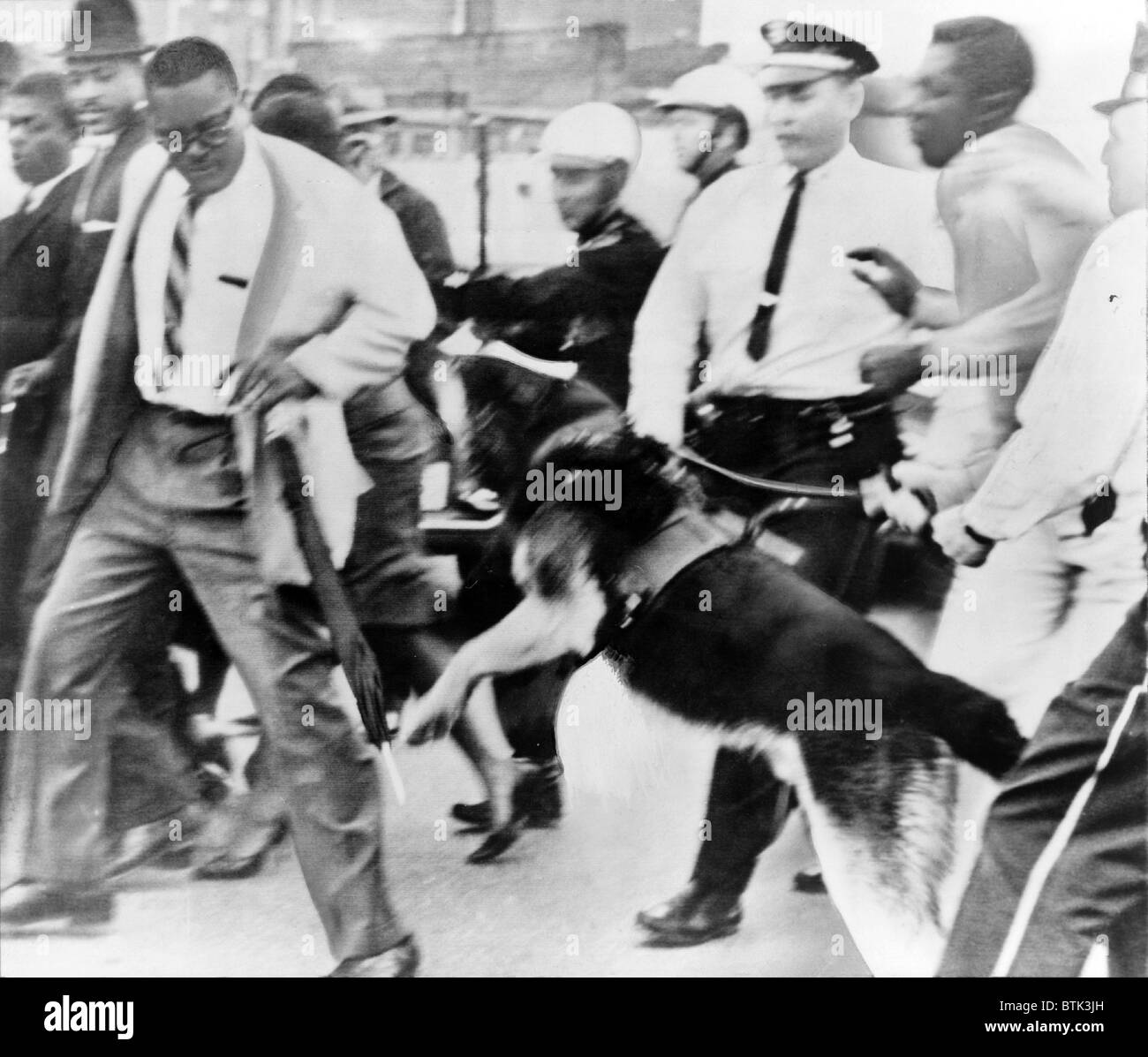 La polizia attacca cane afro-americano, al di fuori di un Jackson, in Mississippi, courthouse dove i diritti civili dimostranti sono stati in prova. 1961. Foto Stock